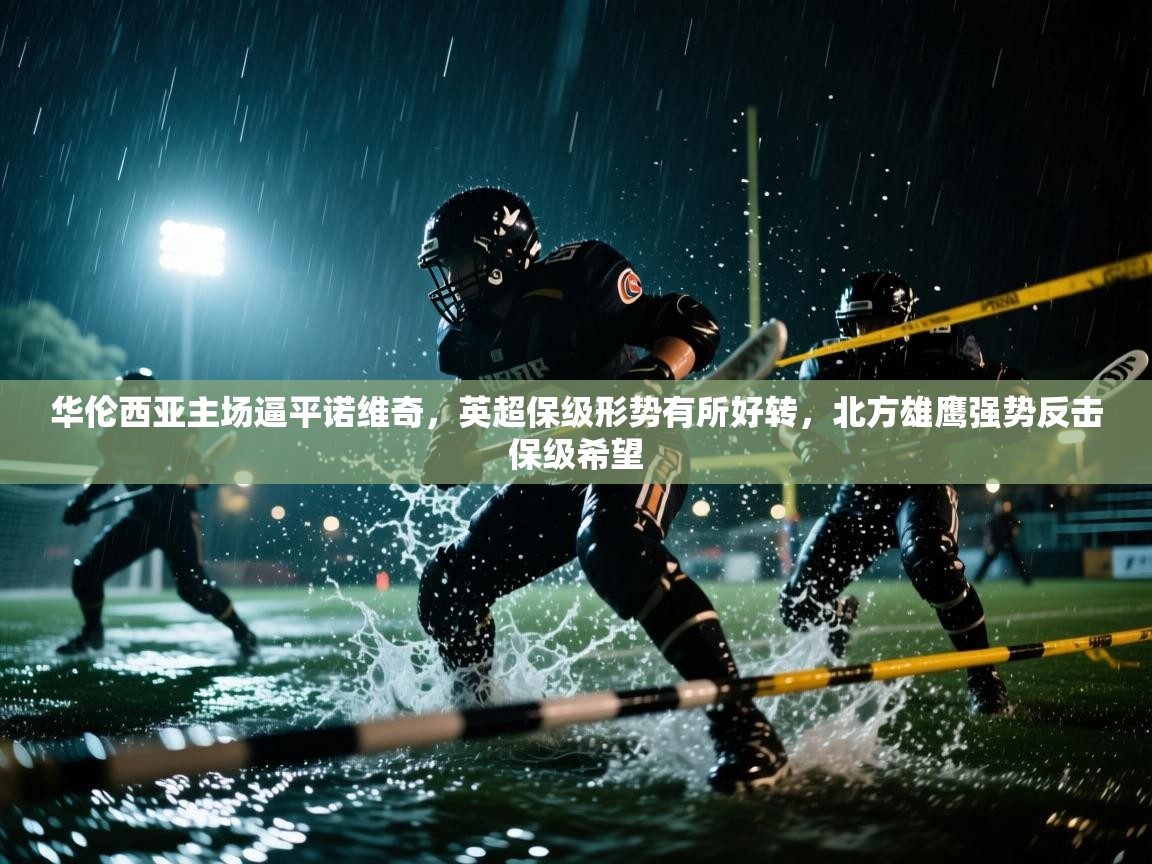 华伦西亚主场逼平诺维奇，英超保级形势有所好转，北方雄鹰强势反击保级希望  第2张