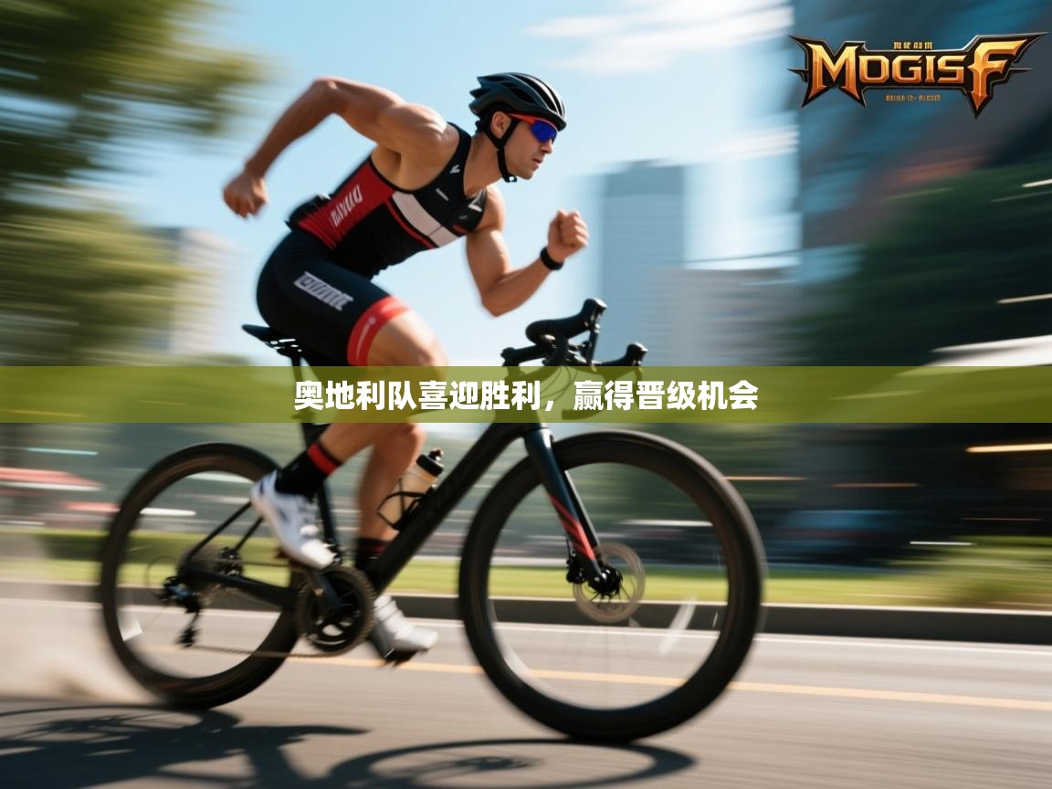 奥地利队喜迎胜利,赢得晋级机会 第1张