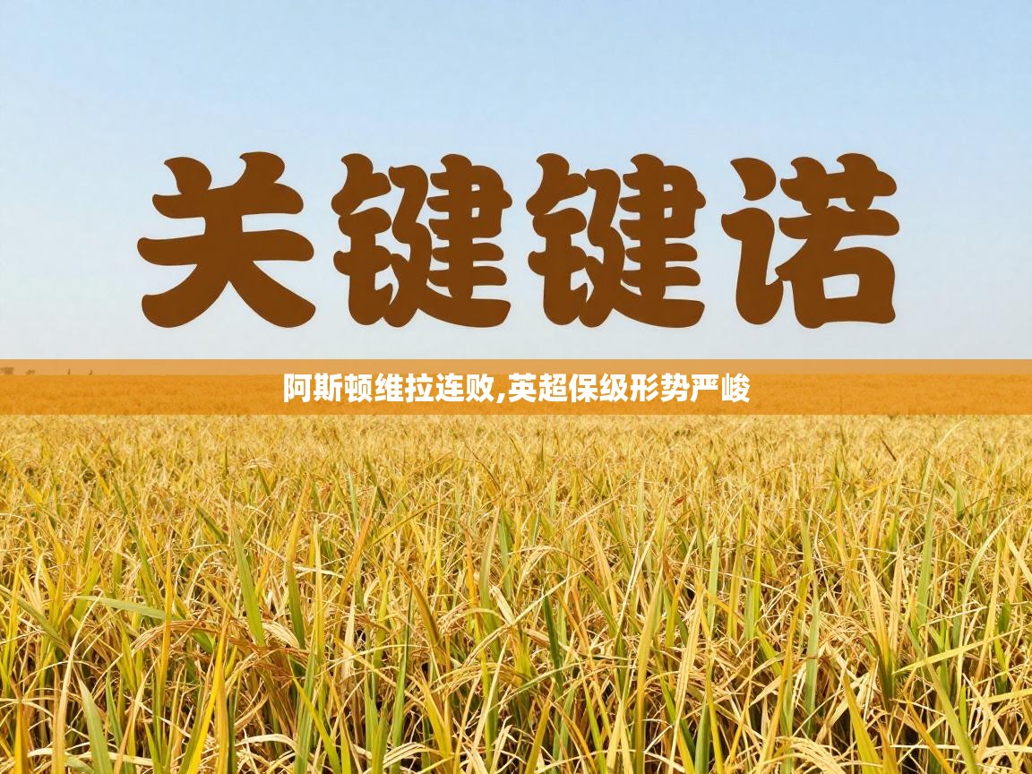 阿斯顿维拉连败,英超保级形势严峻 第2张